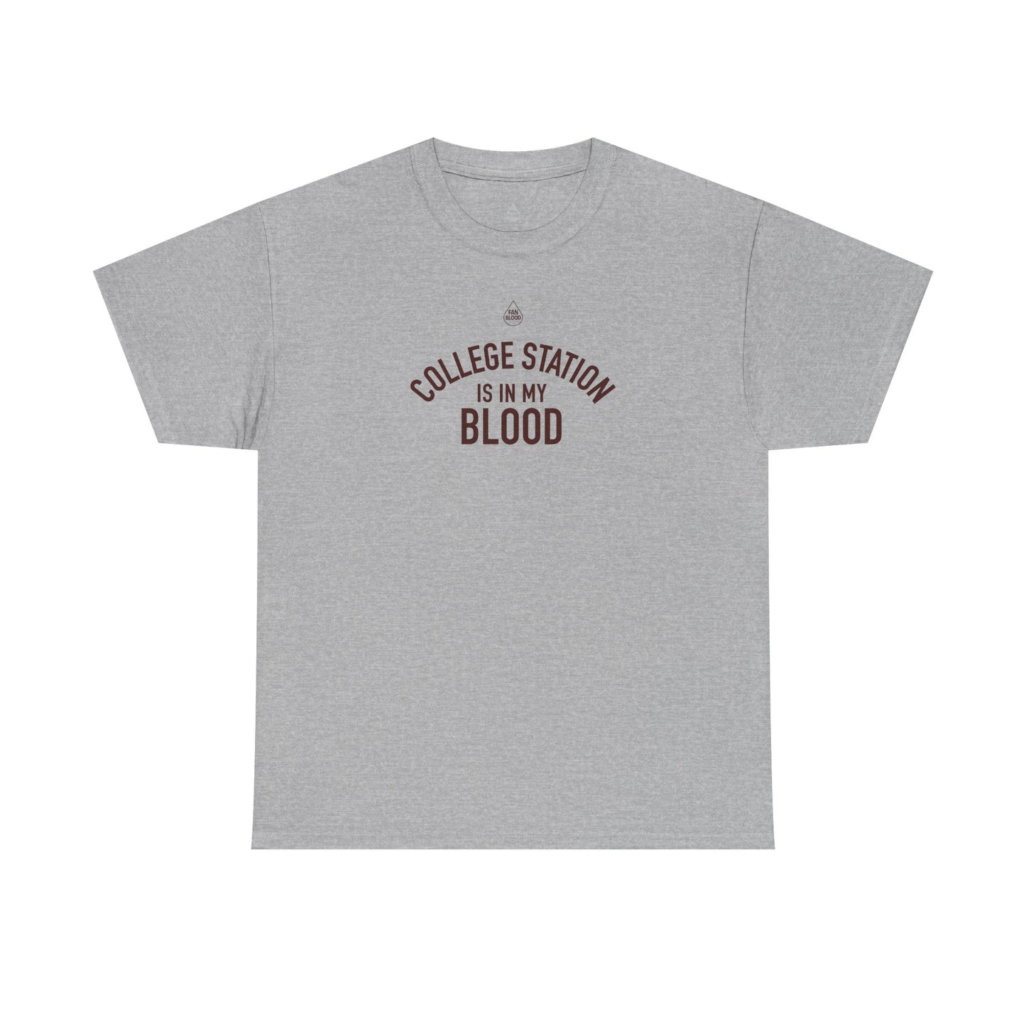 College Station IMB T-Shirt