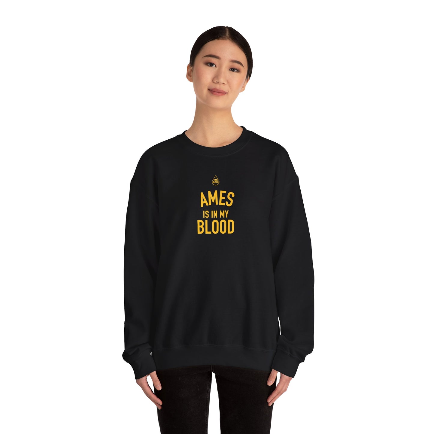 Ames IMB Sweatshirt