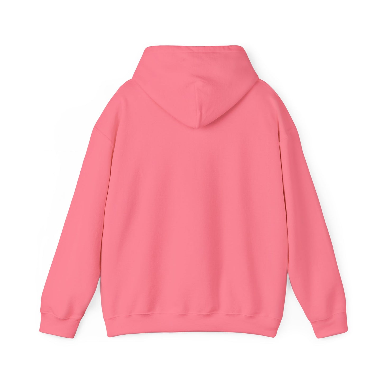 Mackinac Island IMB Hoodie
