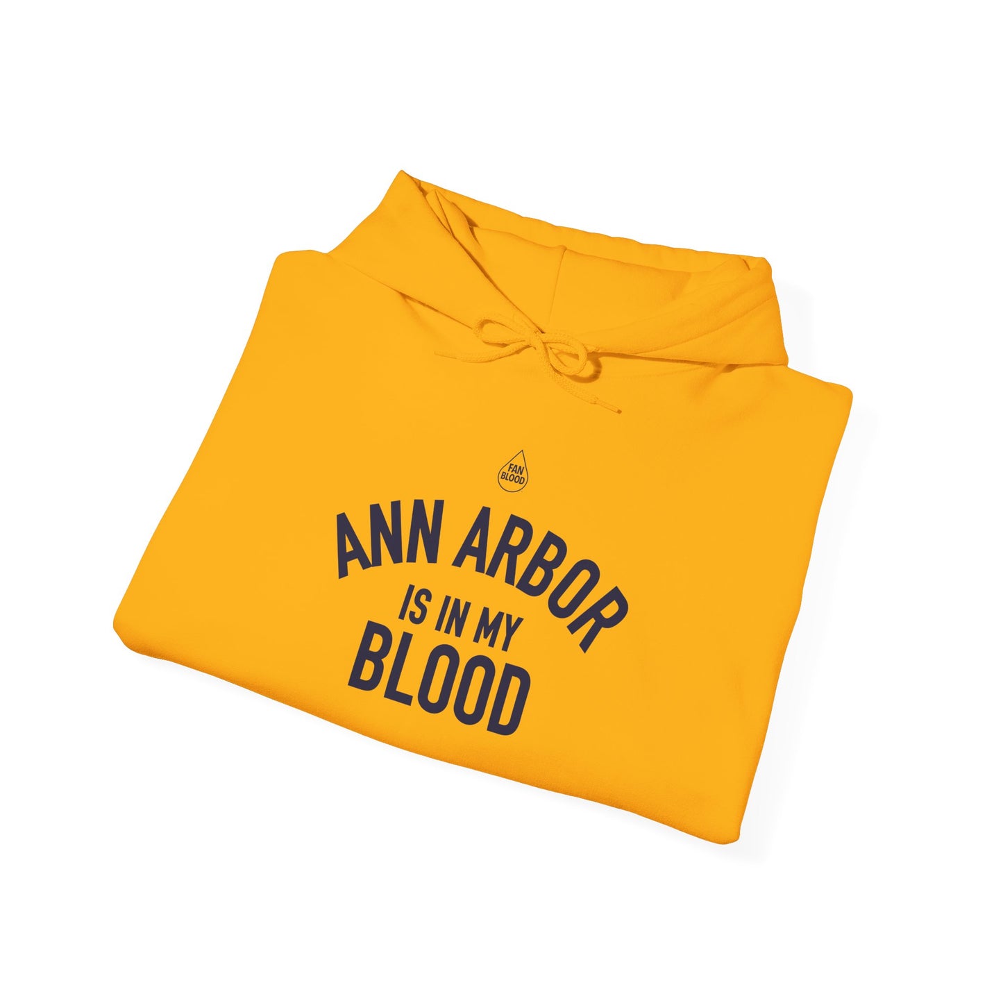 Ann Arbor IMB Hoodie