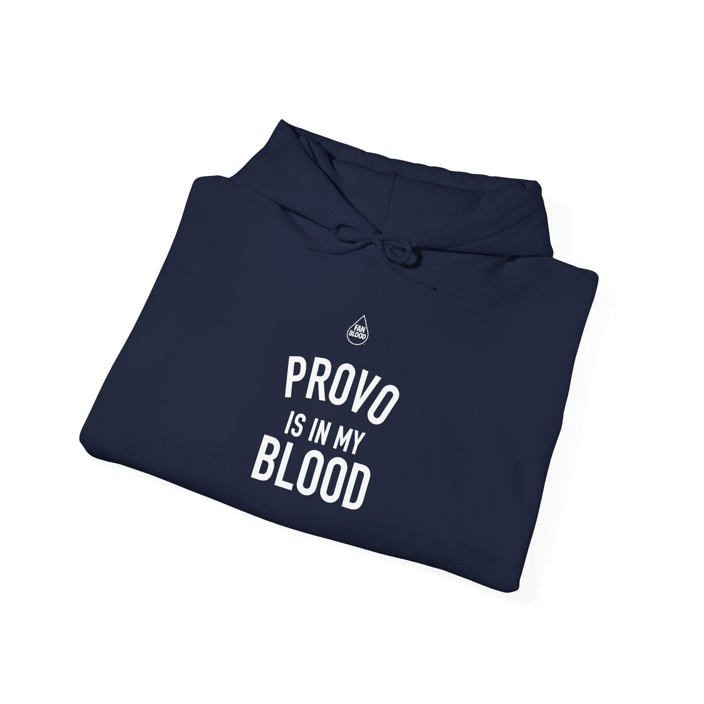 Provo IMB Hoodie