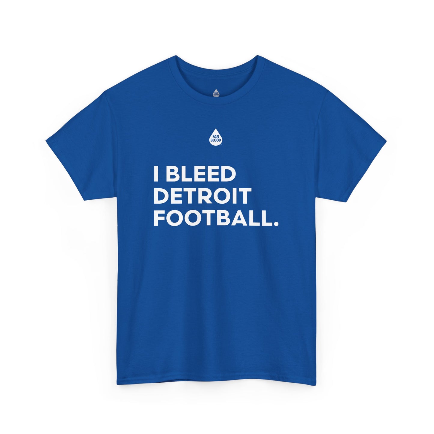I Bleed Detroit Football T-Shirt