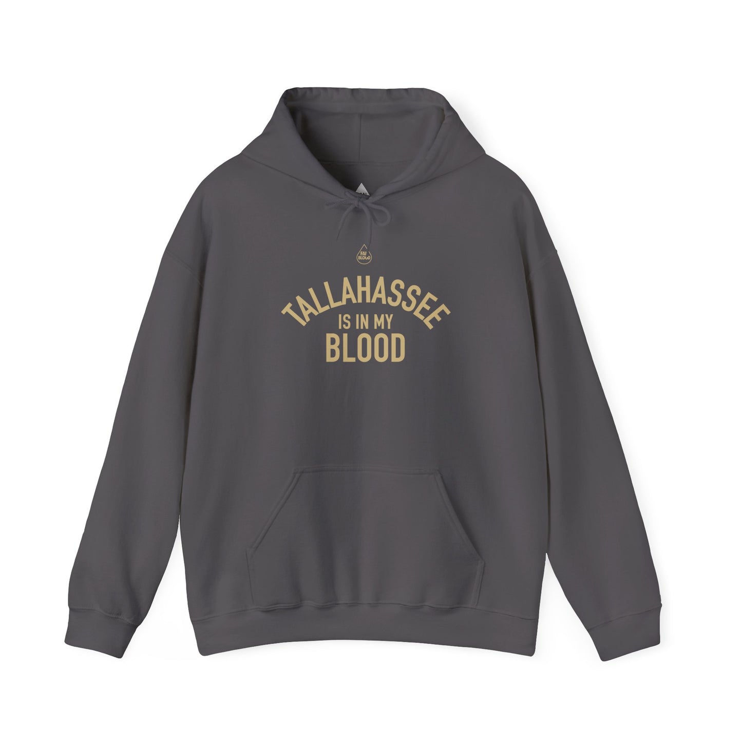 Tallahassee IMB Hoodie