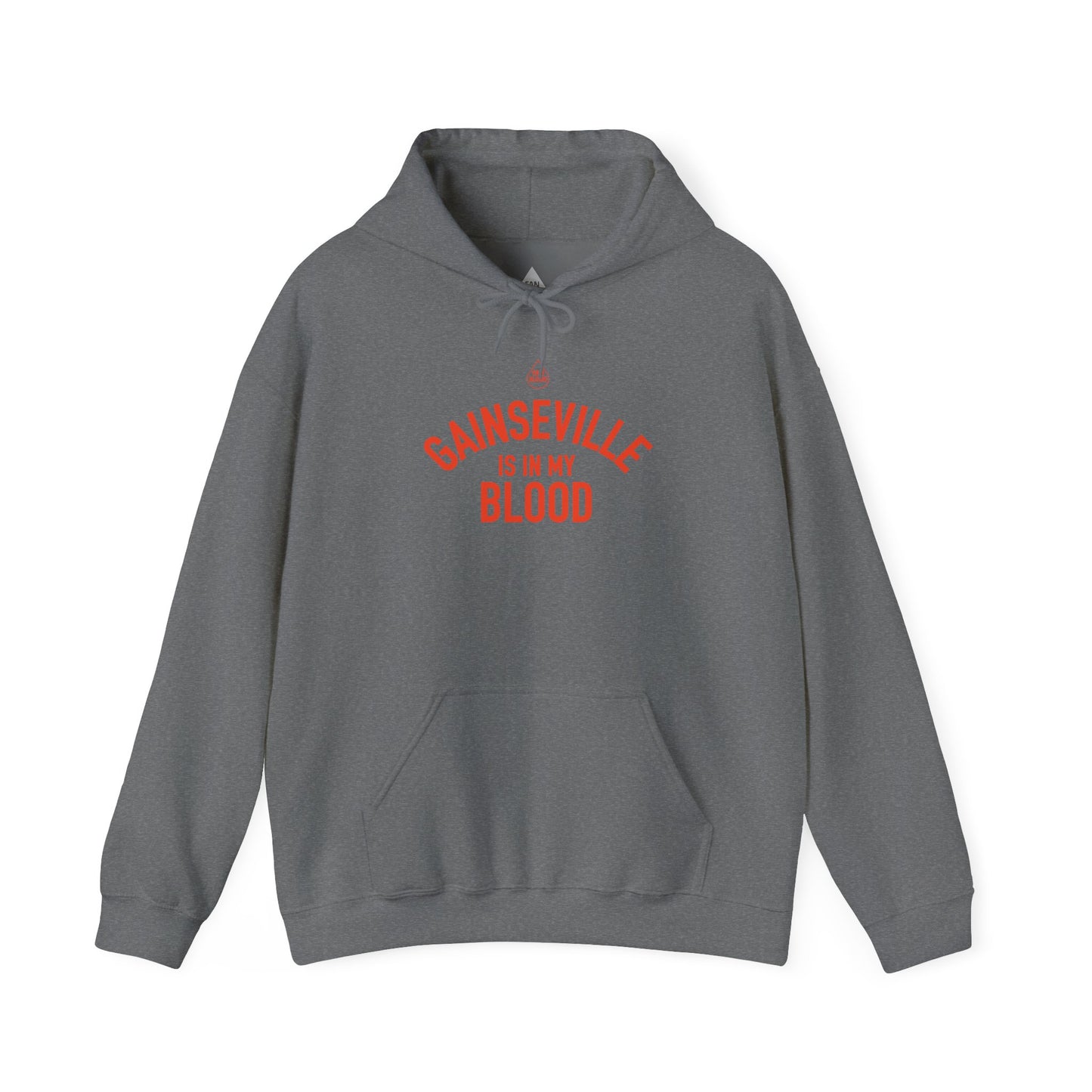 Gainesville IMB Hoodie