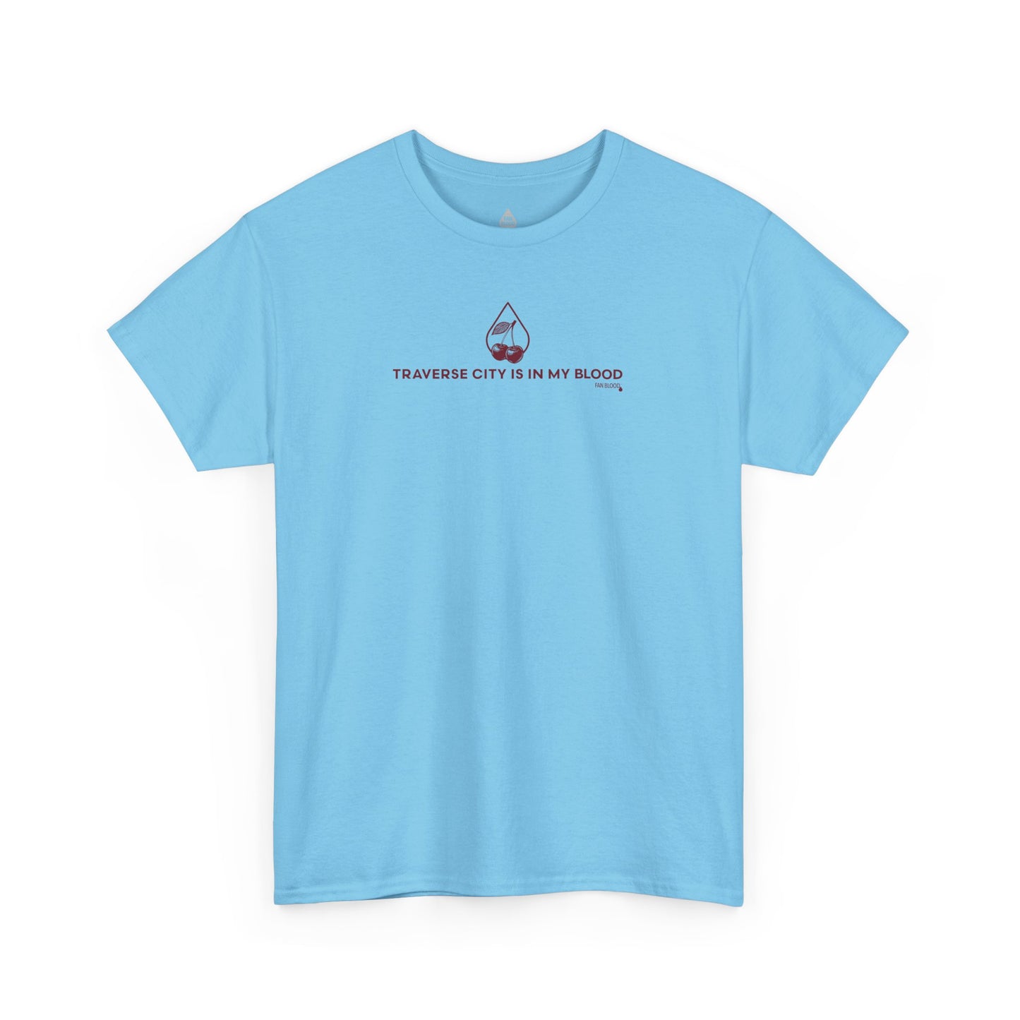 Traverse City IMB T-Shirt