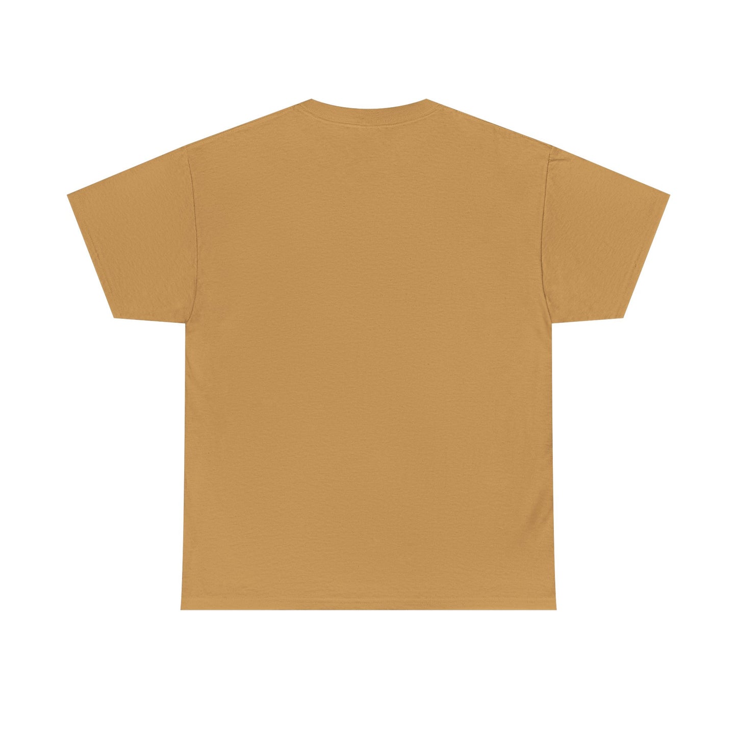 Rochester IMB T-Shirt