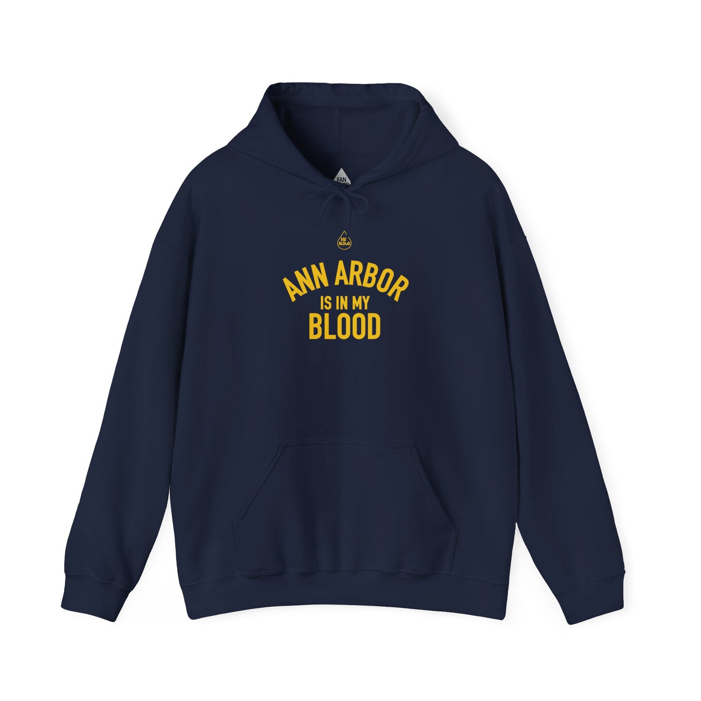 Ann Arbor IMB Hoodie