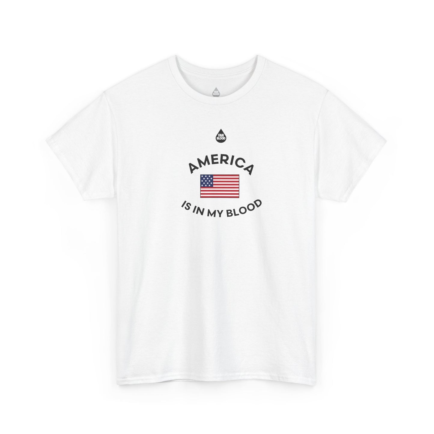 America IMB T-Shirt