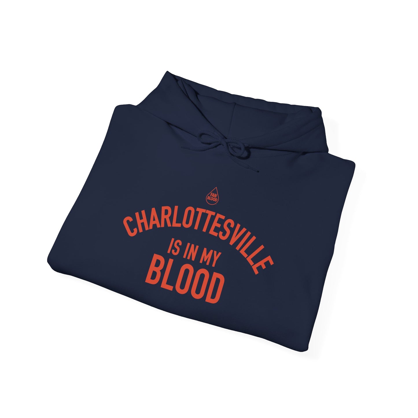 Charlottesville IMB Hoodie