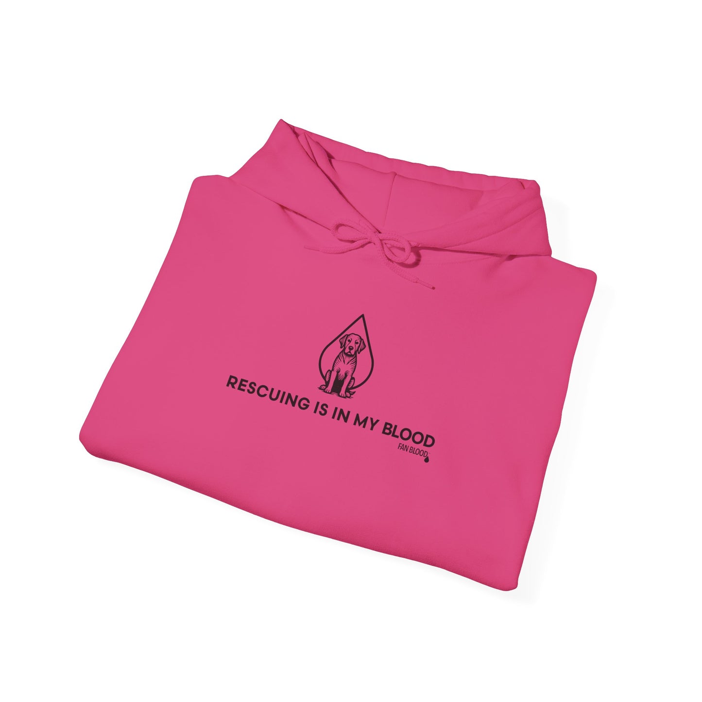 Rescuing IMB Hoodie
