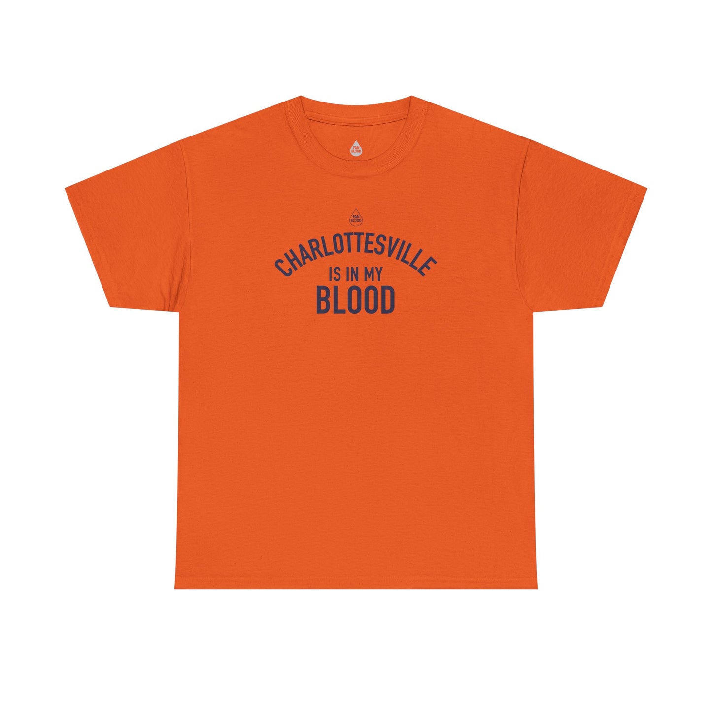 Charlottesville IMB T-Shirt