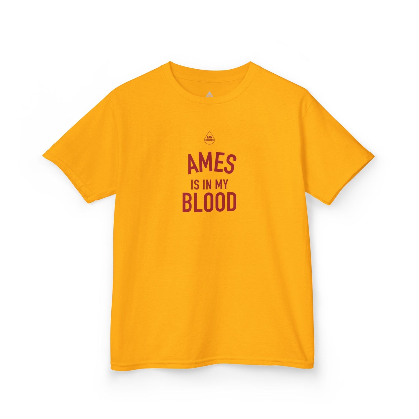 Ames IMB Kid's T