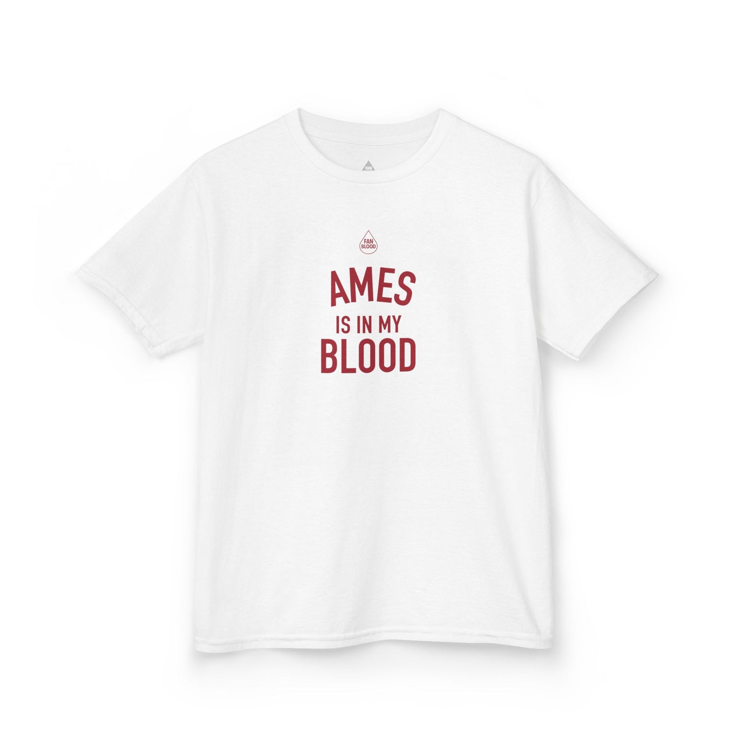 Ames IMB Kid's T