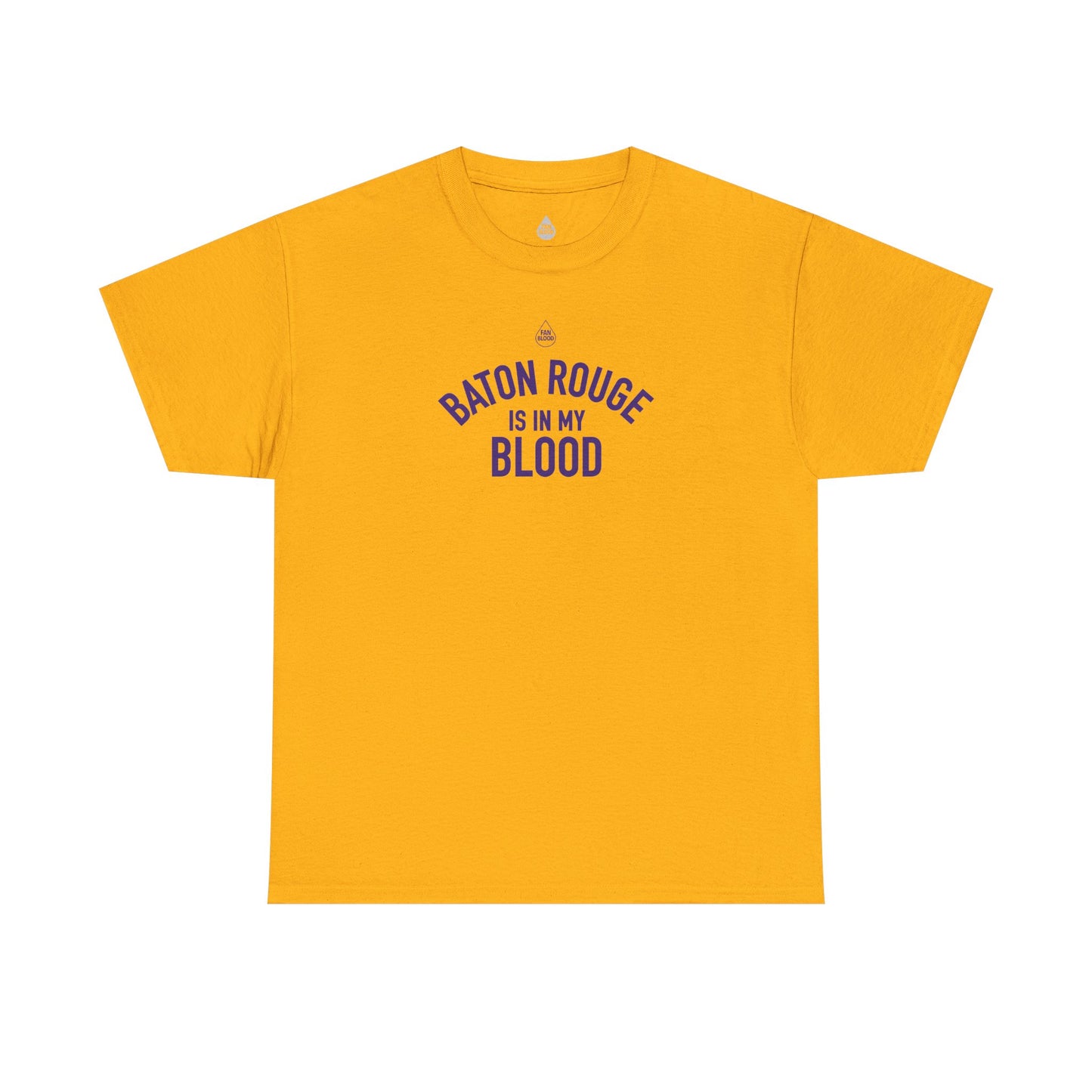 Baton Rouge IMB T-Shirt