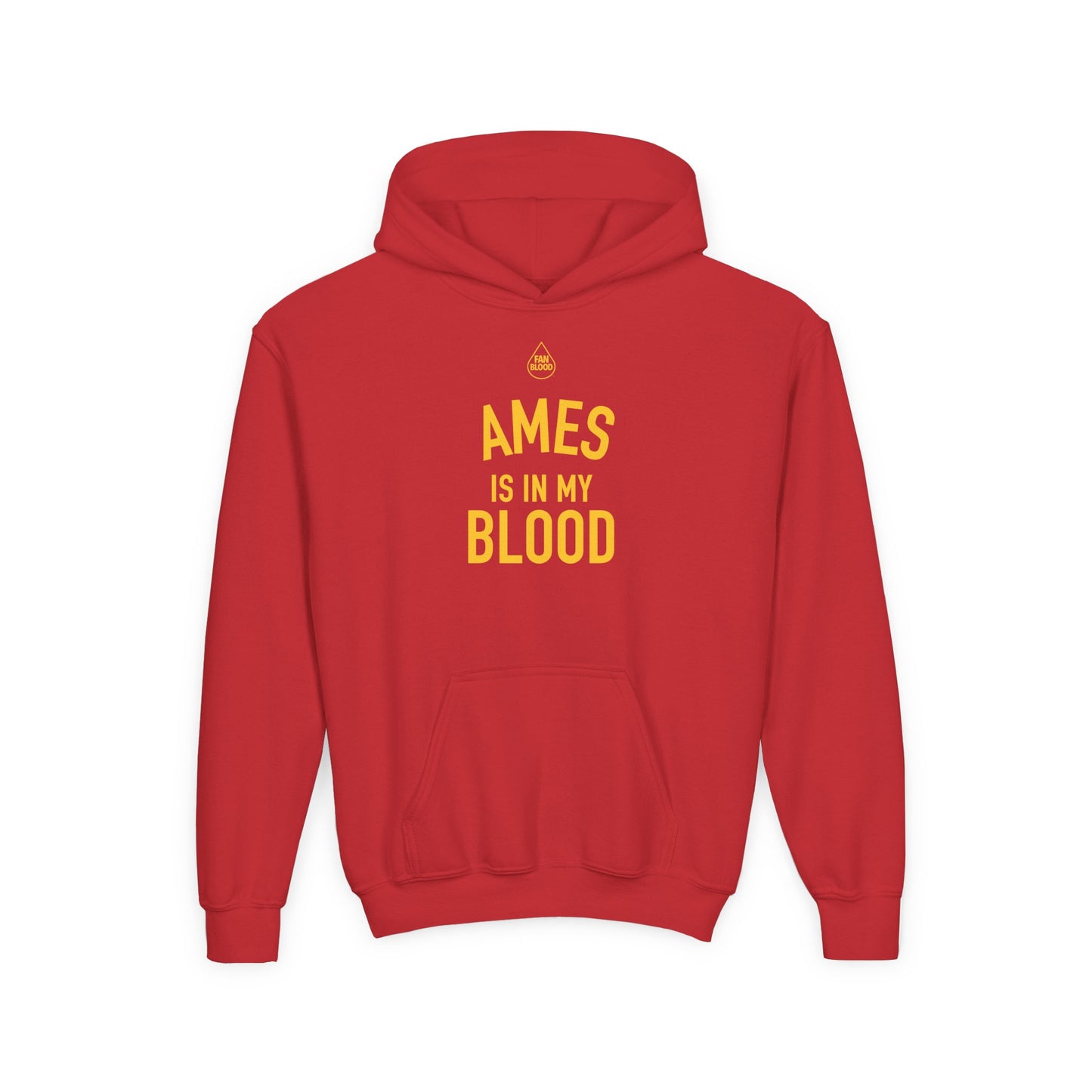 Ames IMB Kid's Hoodie