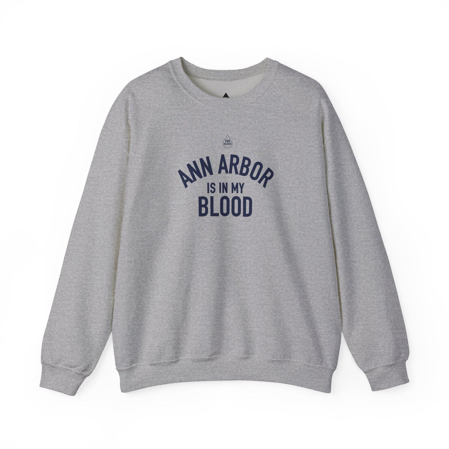 Ann Arbor IMB Sweatshirt