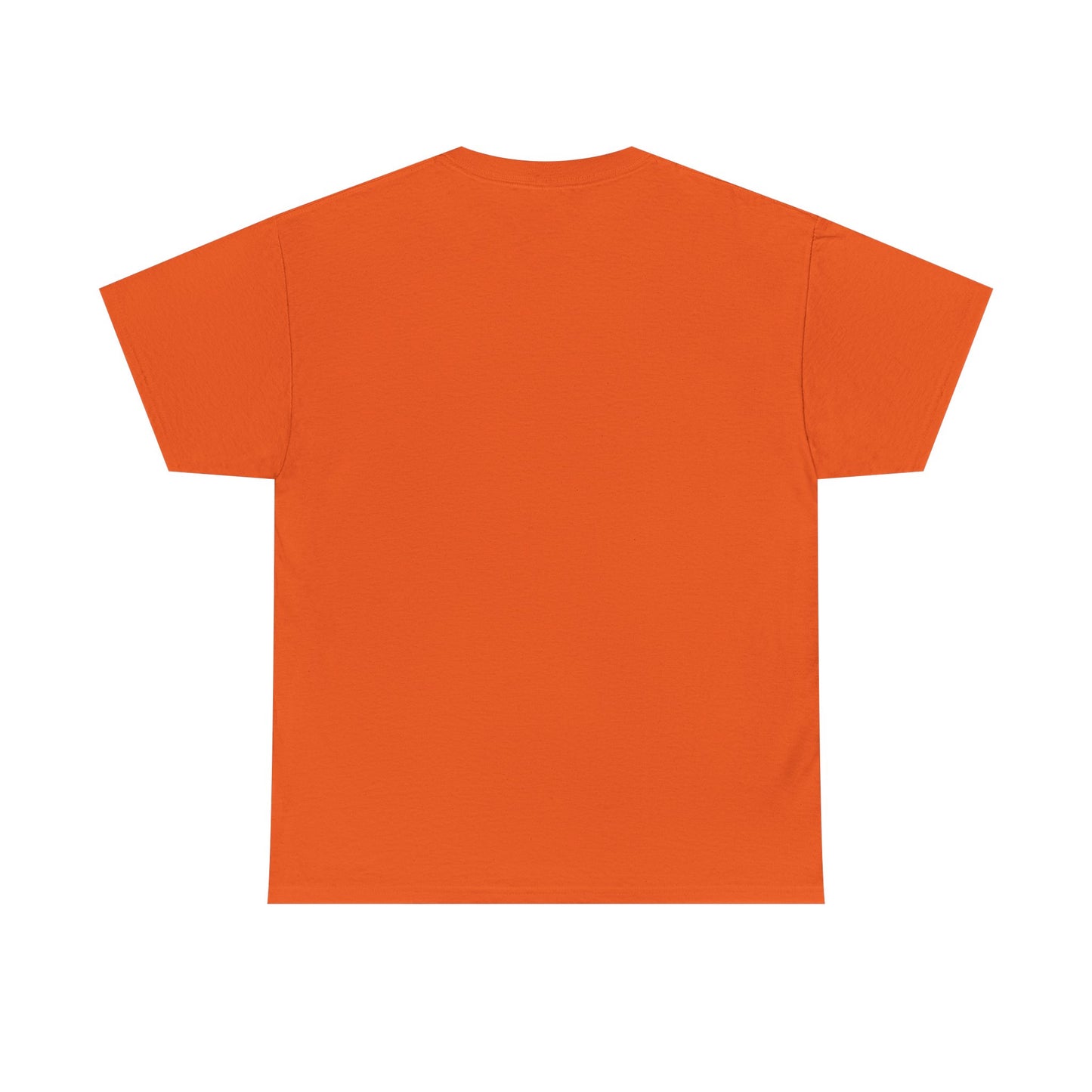 I Bleed Aqua & Orange Women's T