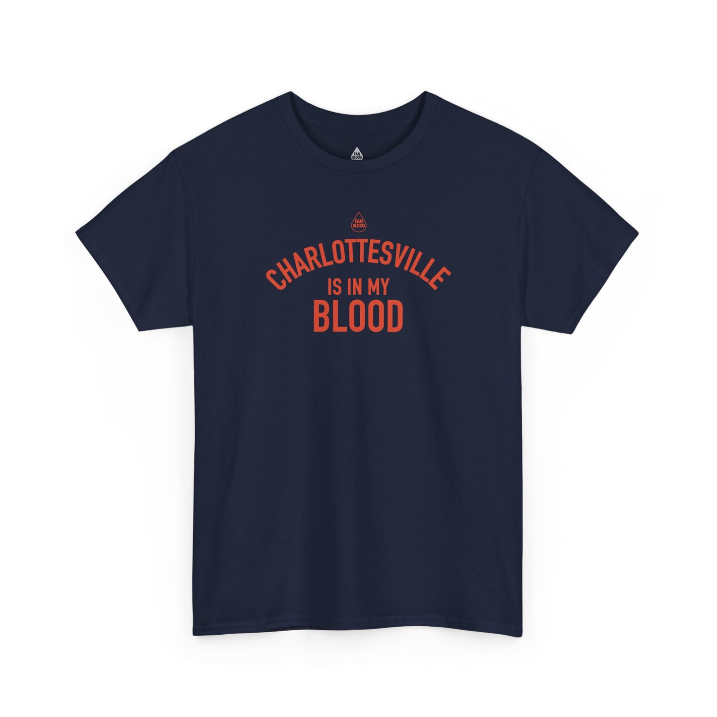 Charlottesville IMB T-Shirt