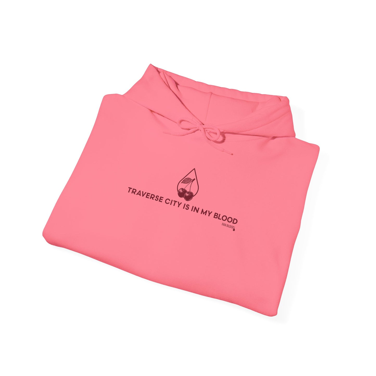 Traverse City IMB Hoodie