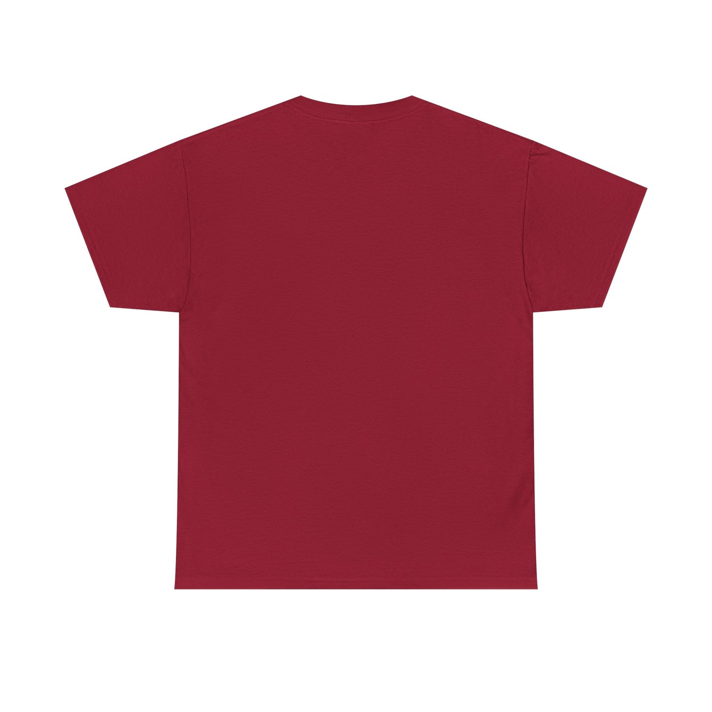 Ames IMB T-Shirt