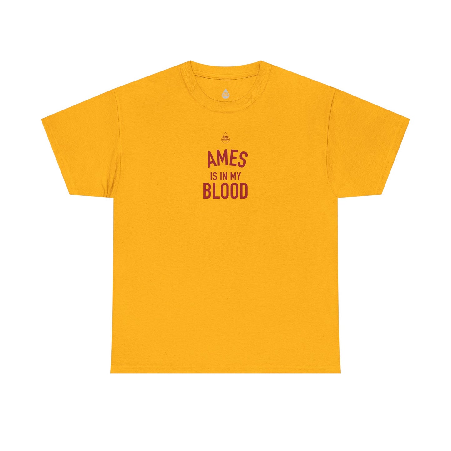 Ames IMB T-Shirt