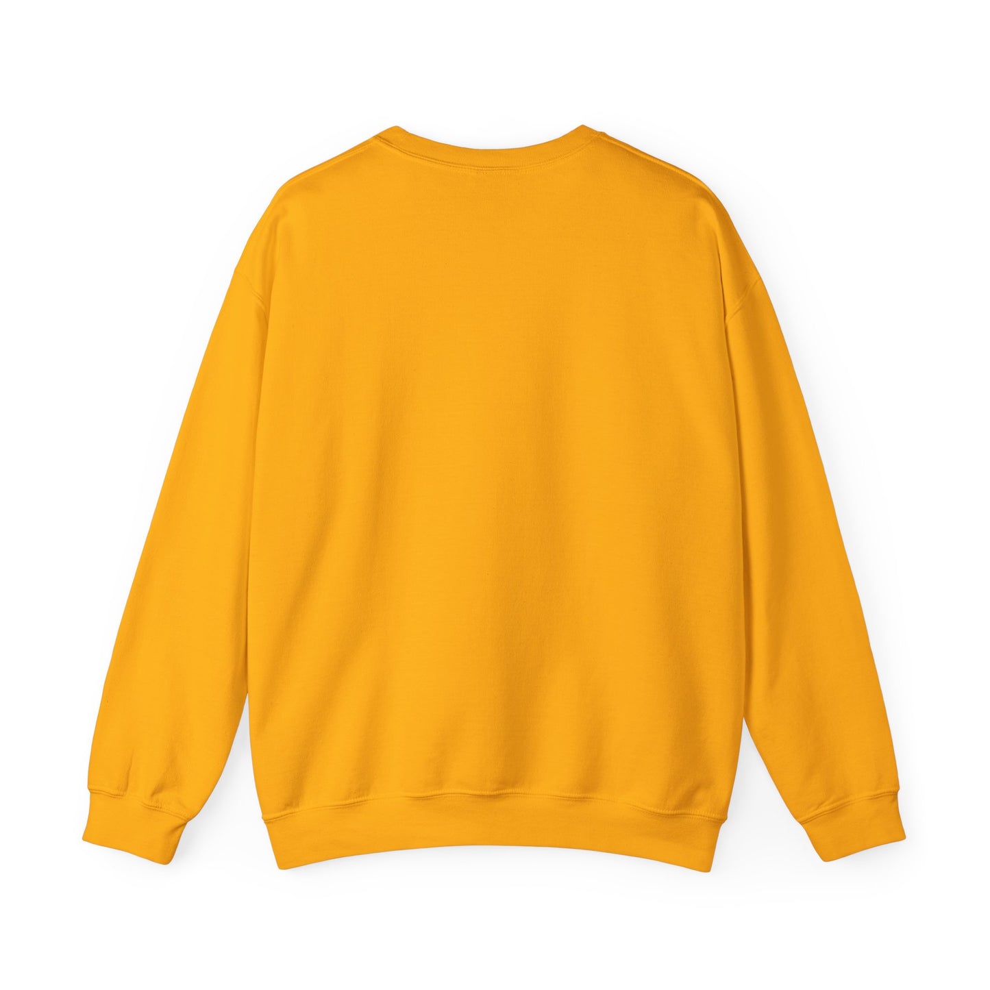 Ames IMB Sweatshirt