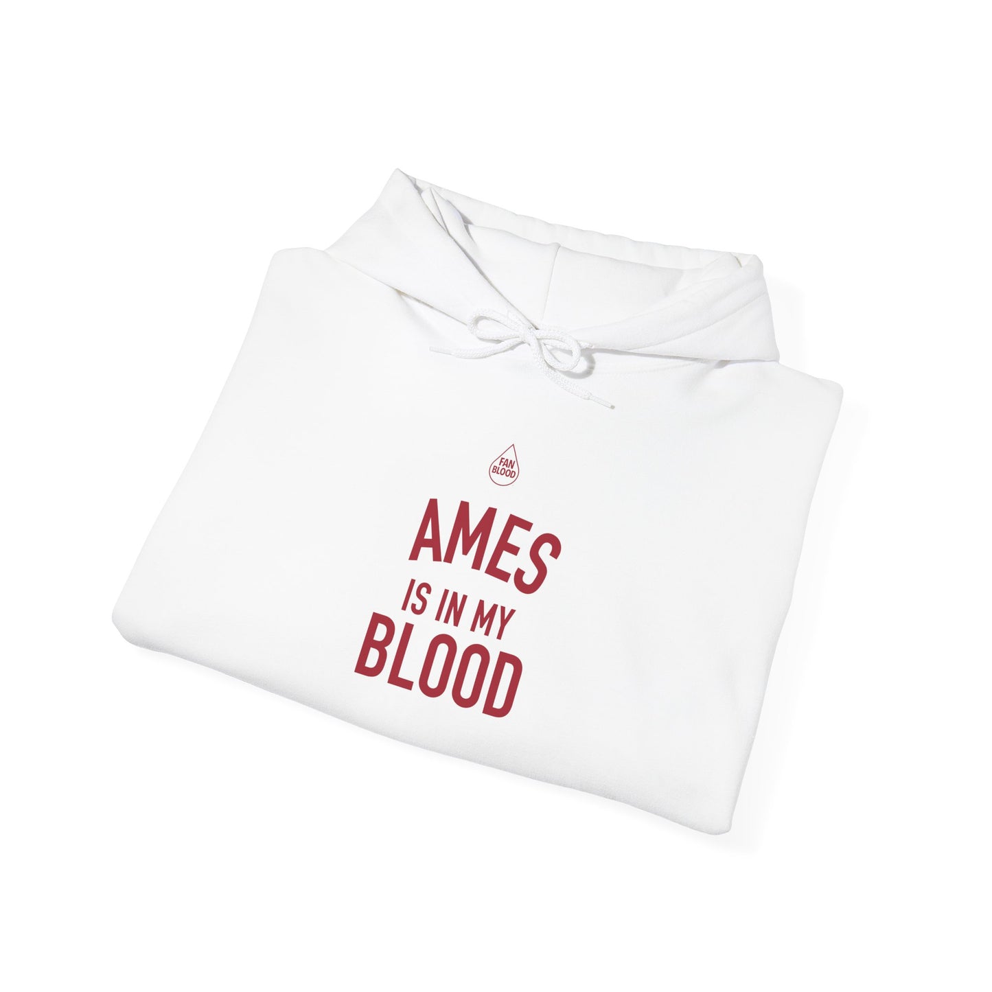 Ames IMB Hoodie
