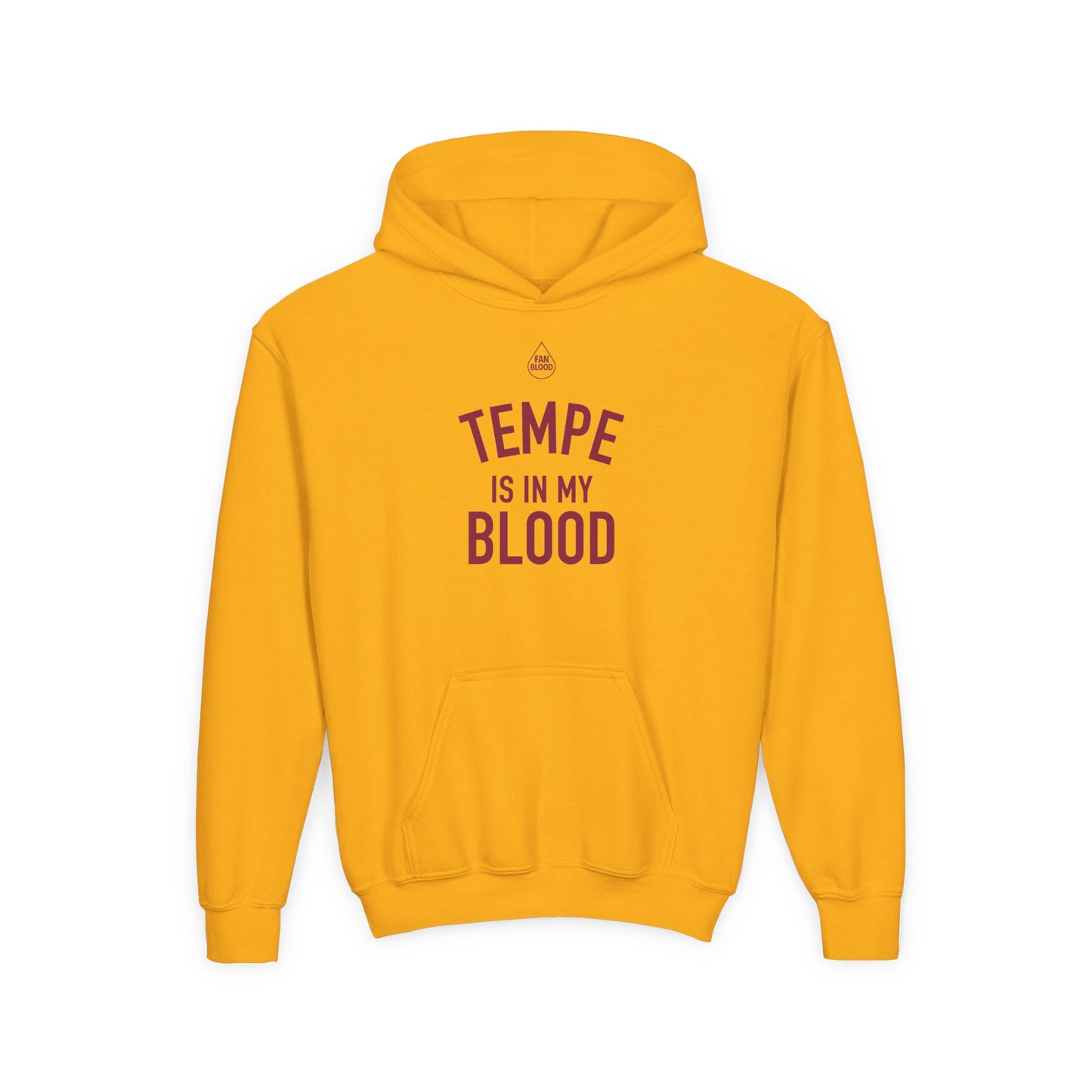 Tempe IMB Kid's Hoodie