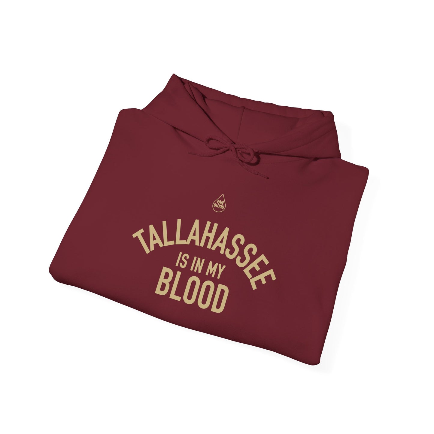 Tallahassee IMB Hoodie