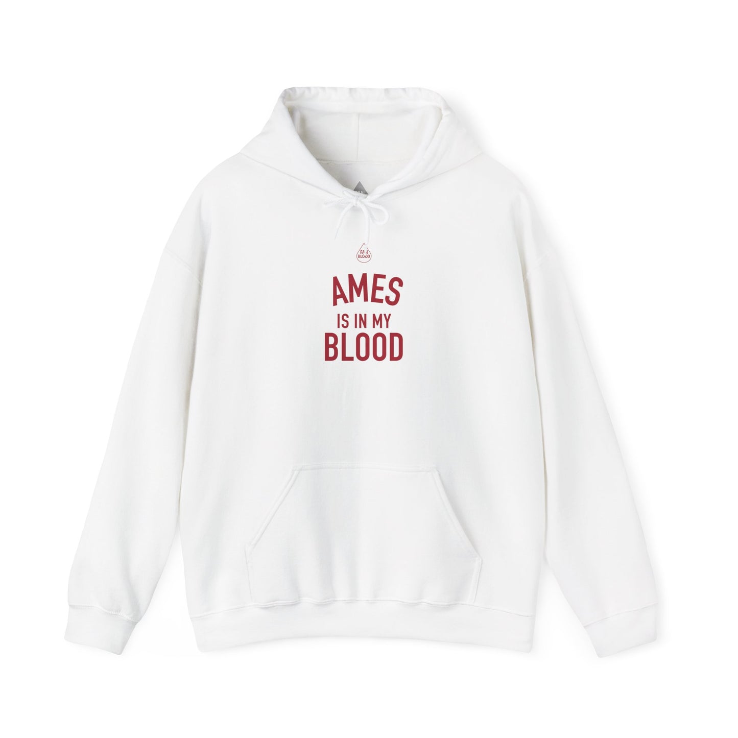 Ames IMB Hoodie