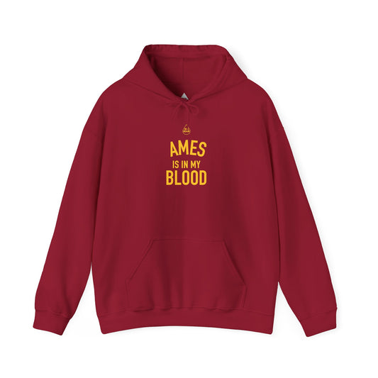 Ames IMB Hoodie