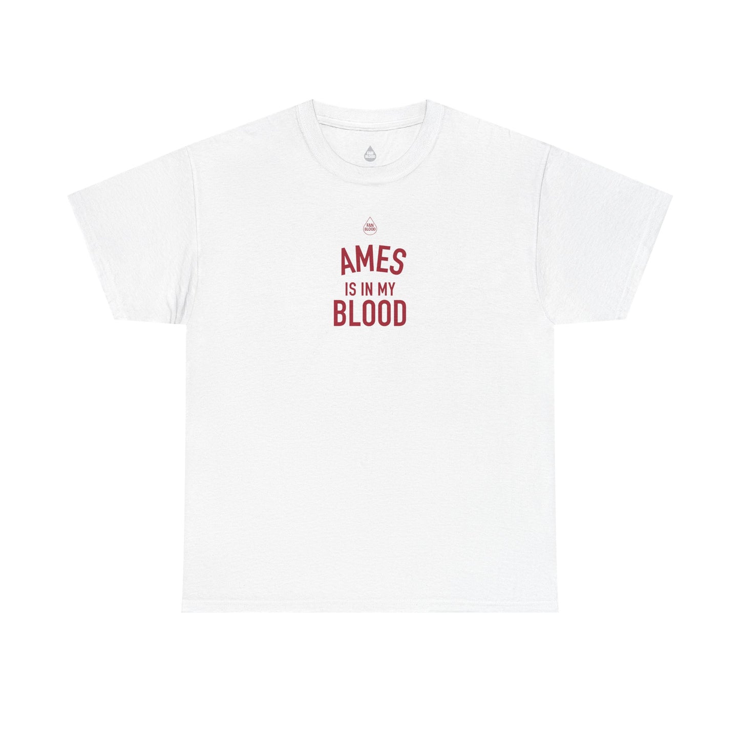 Ames IMB T-Shirt