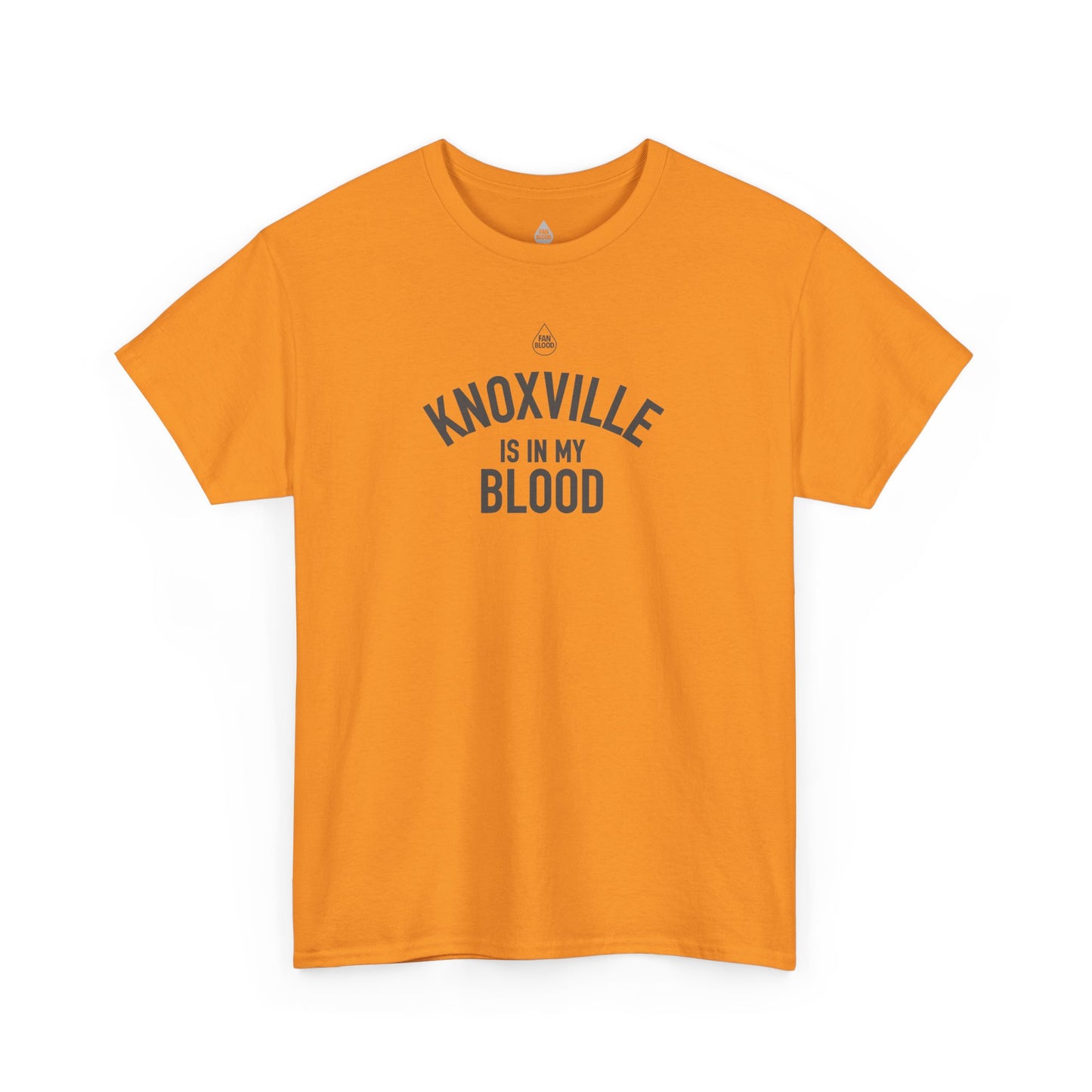 Knoxville IMB T-Shirt