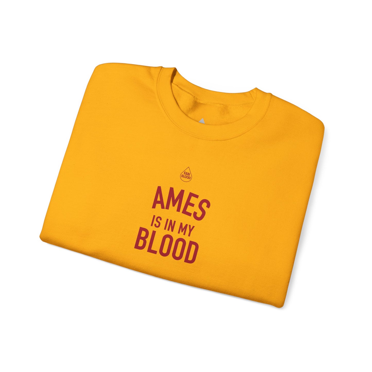 Ames IMB Sweatshirt