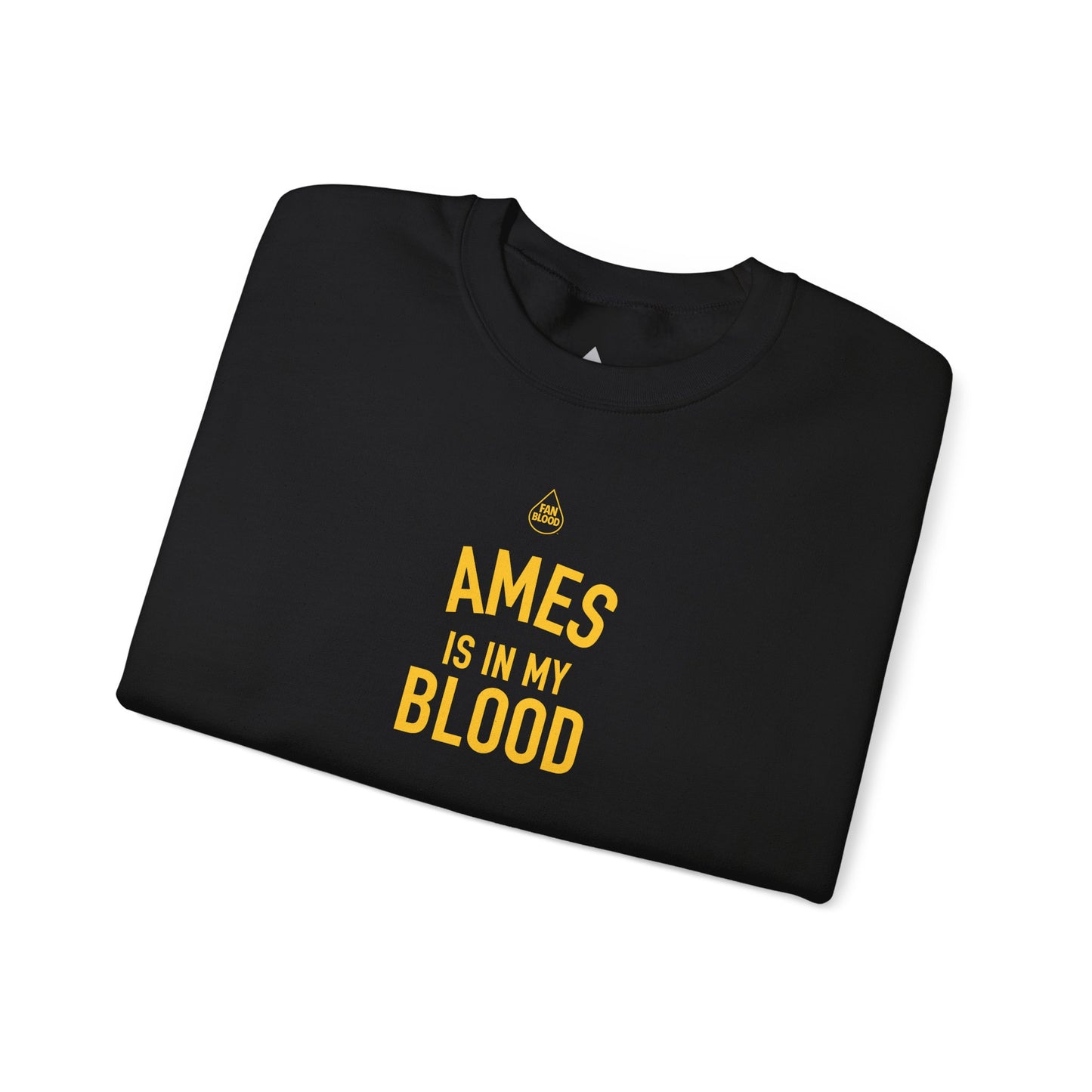 Ames IMB Sweatshirt
