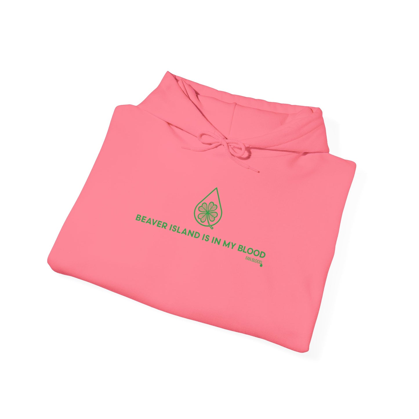 Beaver Island IMB Hoodie