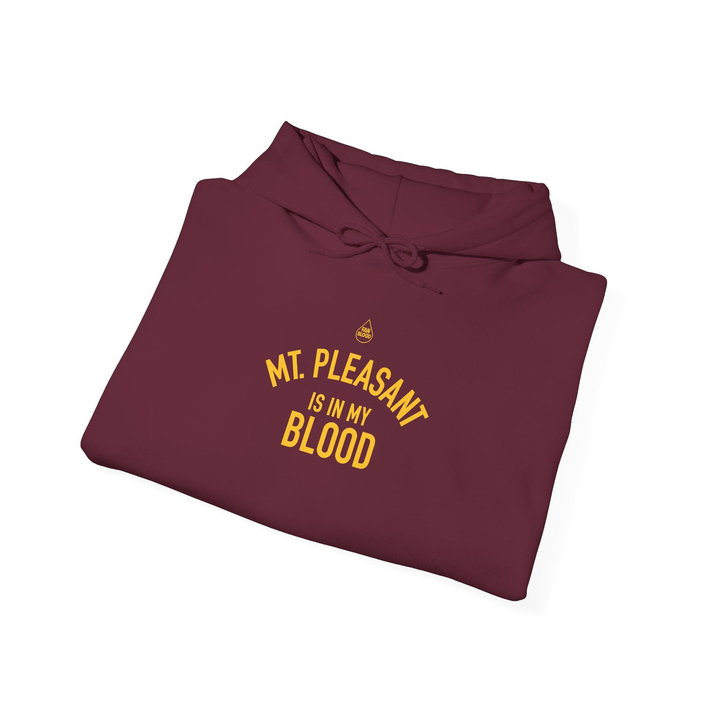 Mt. Pleasant IMB Hoodie