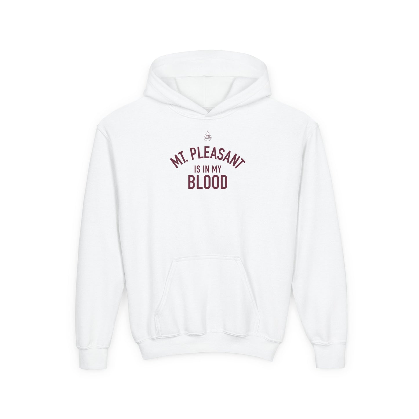 Mt. Pleasant IMB Kid's Hoodie