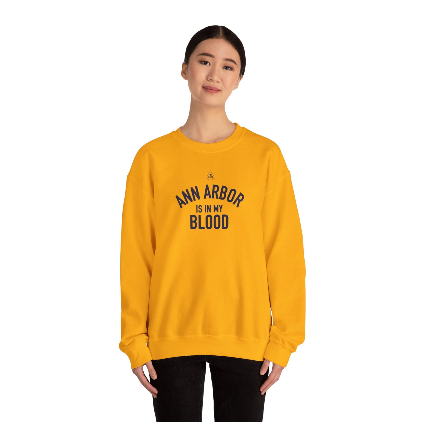 Ann Arbor IMB Sweatshirt
