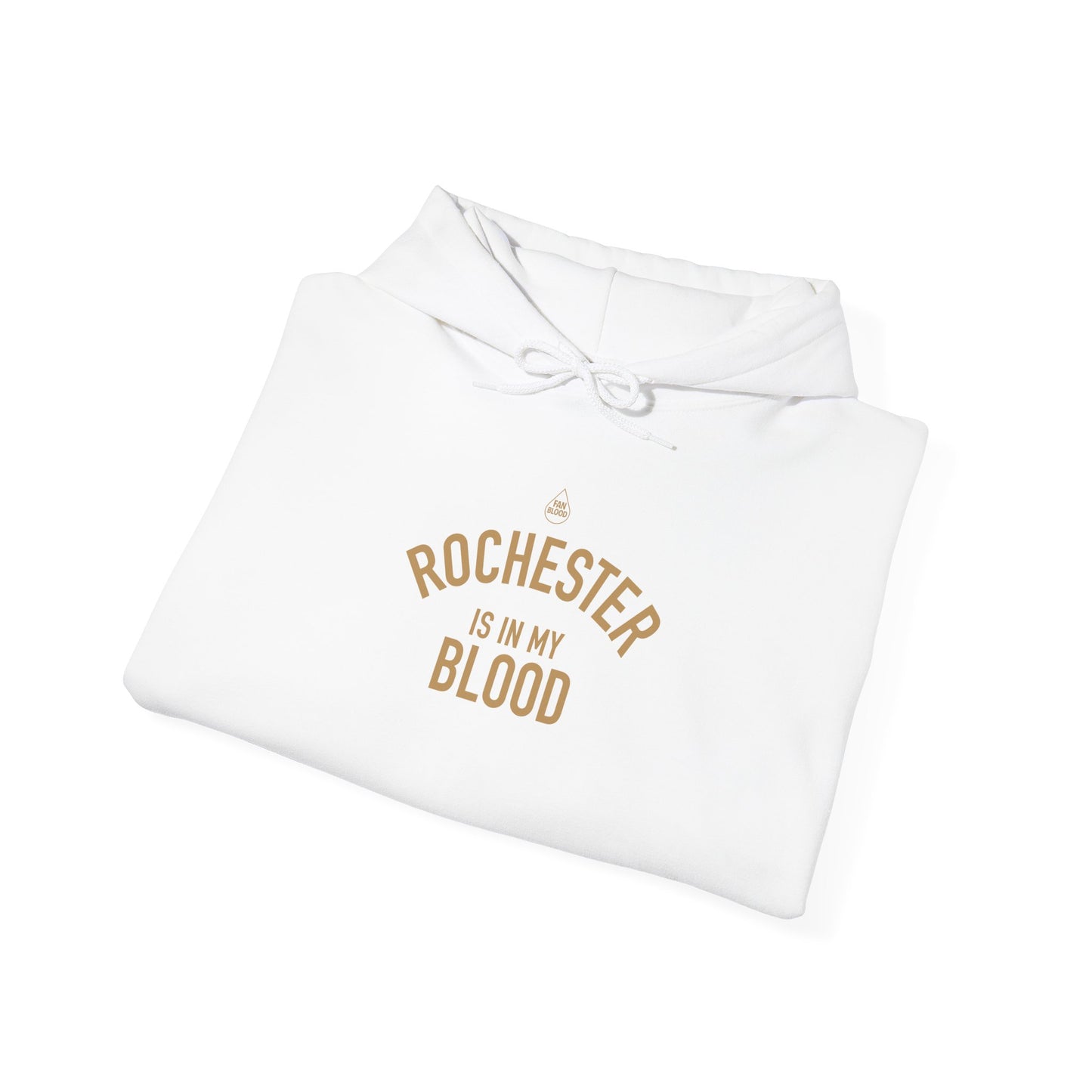 Rochester IMB Hoodie