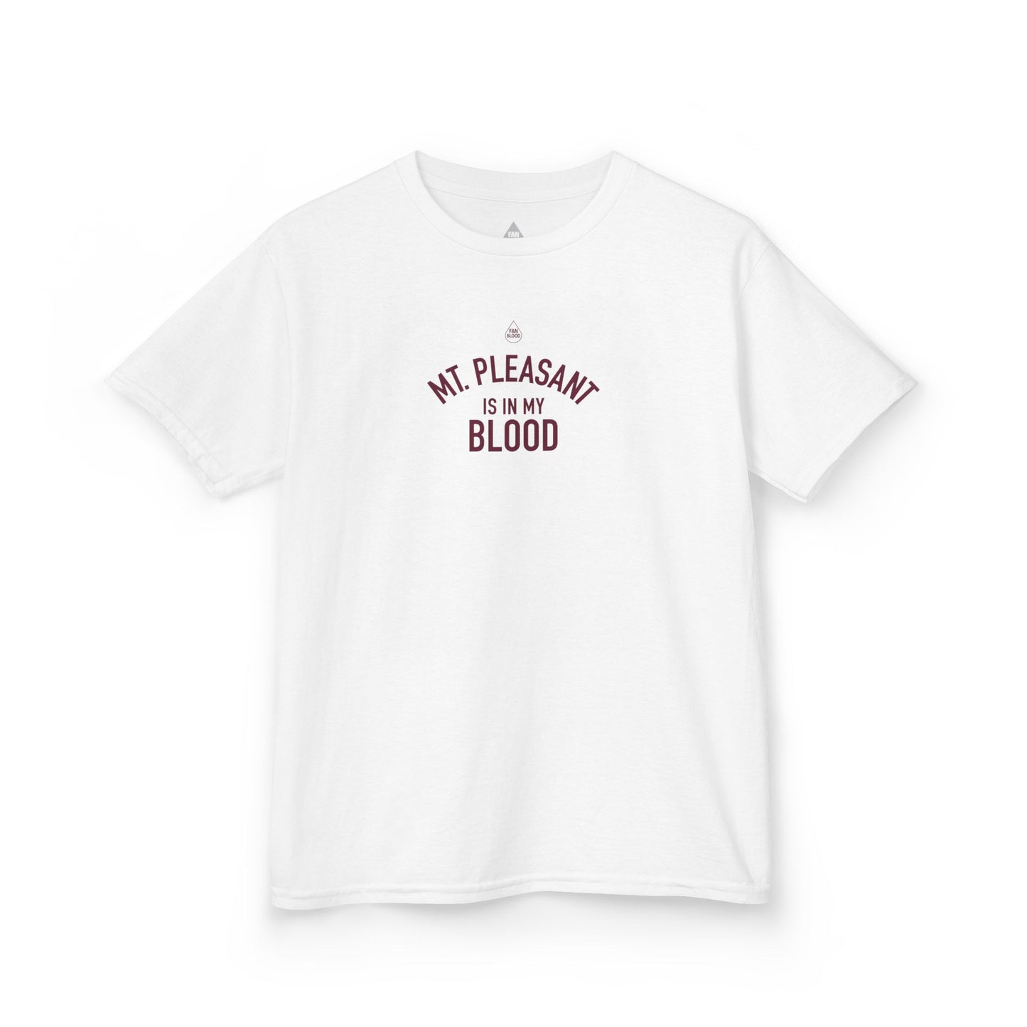 Mt. Pleasant IMB Kid's T