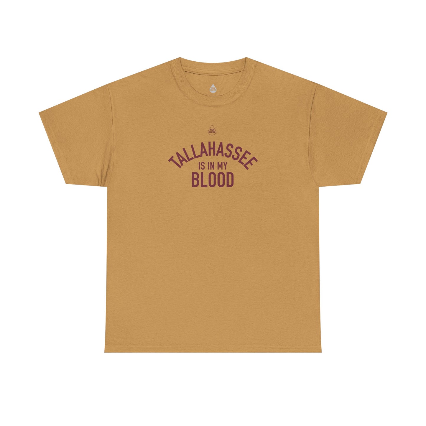 Tallahassee IMB T-Shirt