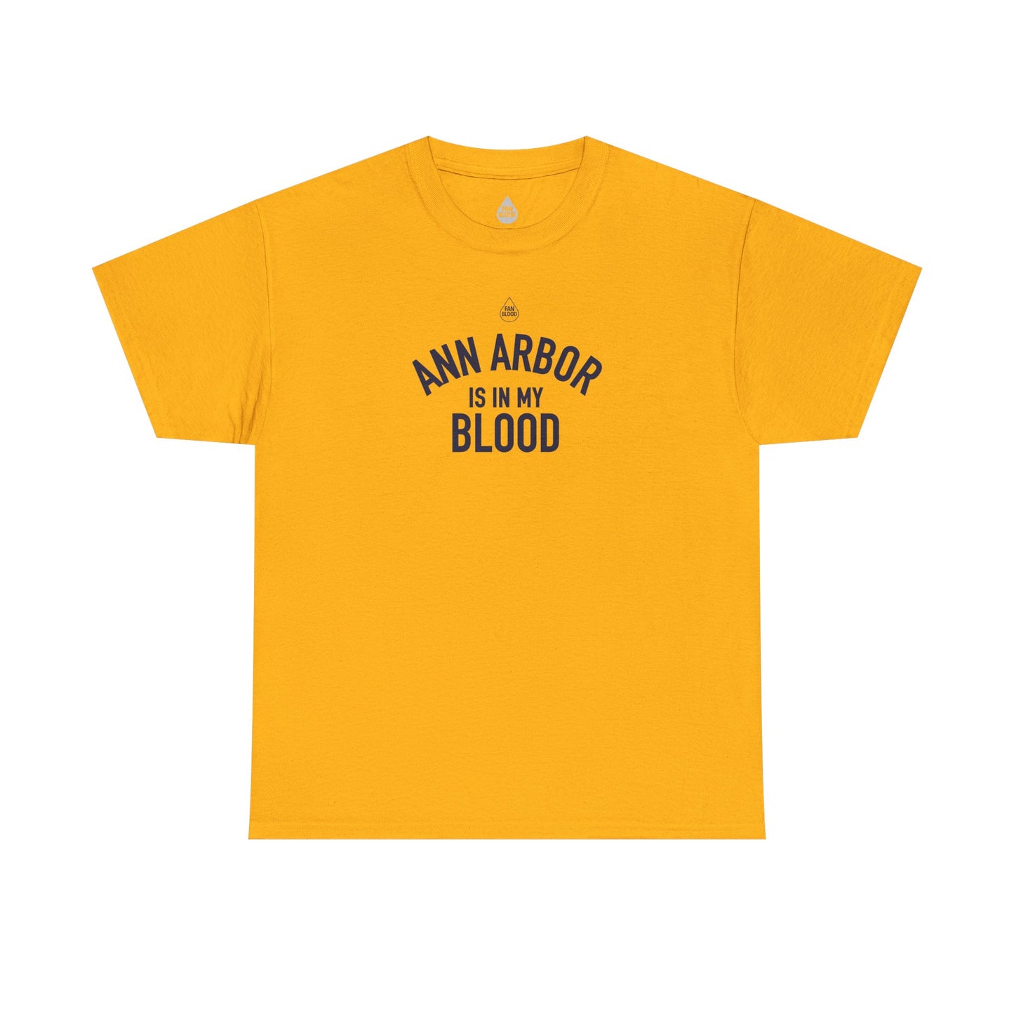 Ann Arbor IMB T-Shirt