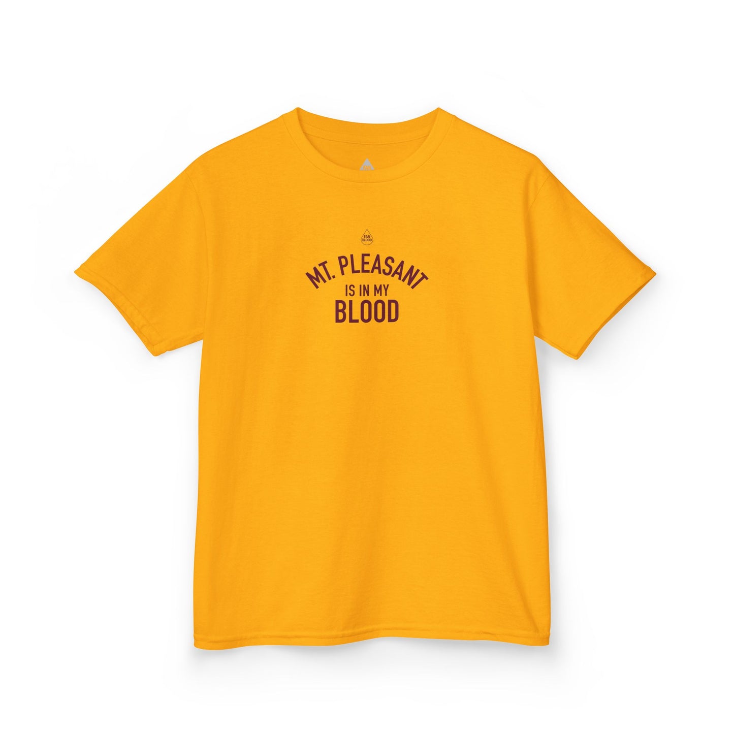 Mt. Pleasant IMB Kid's T