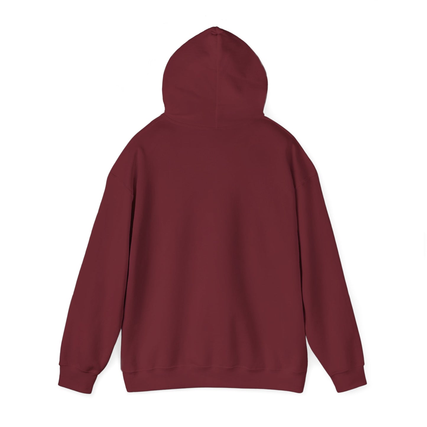 Tallahassee IMB Hoodie