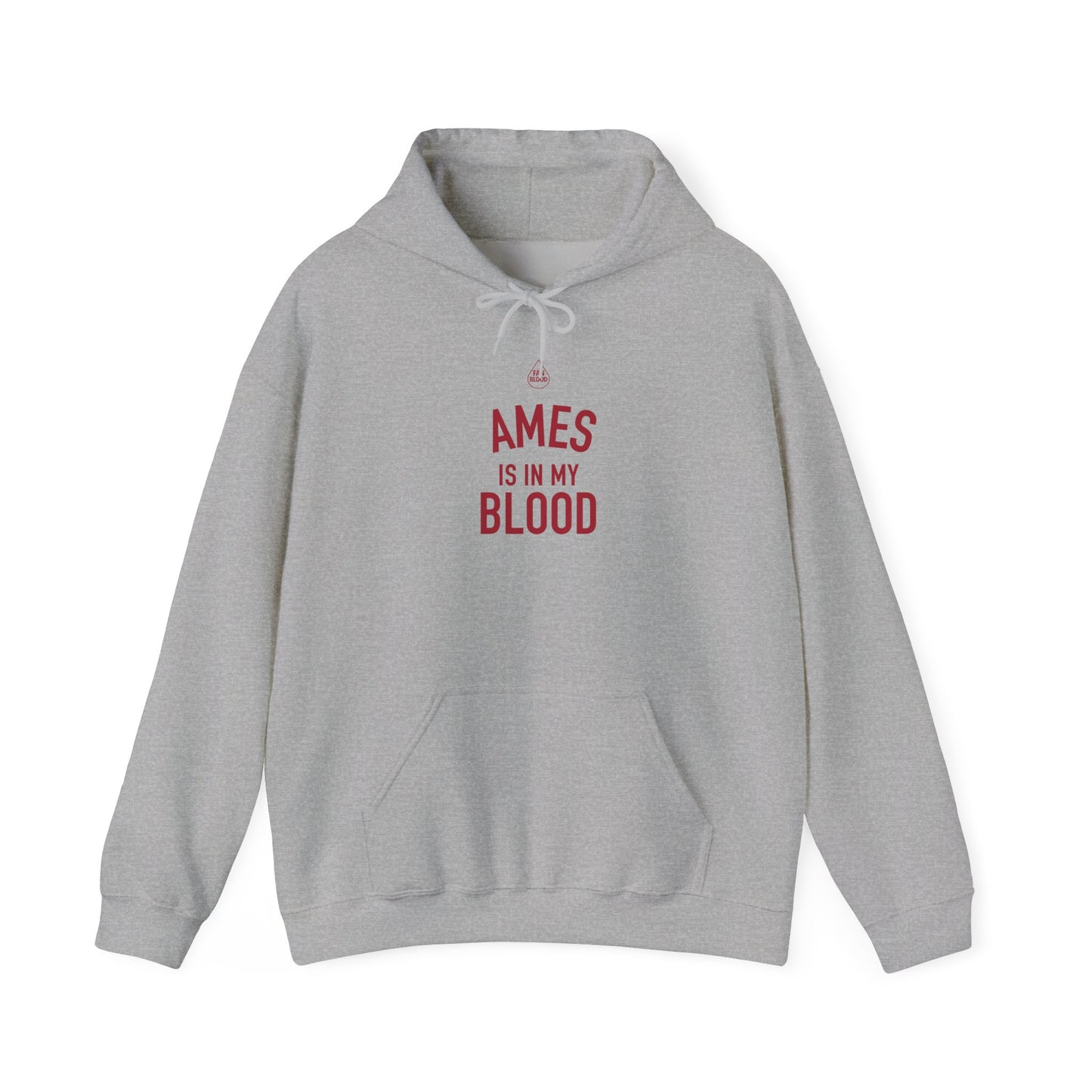 Ames IMB Hoodie
