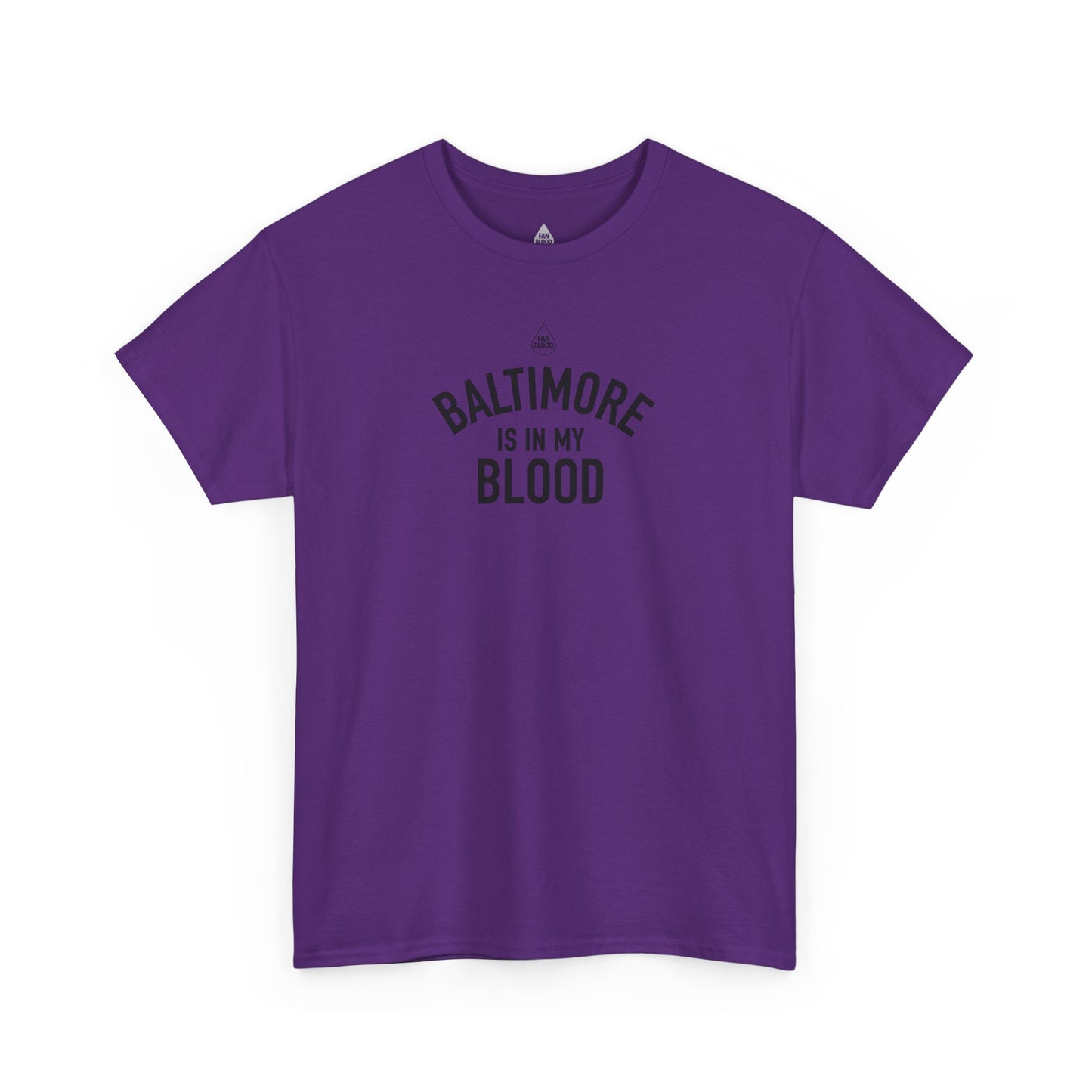 Baltimore IMB T-Shirt