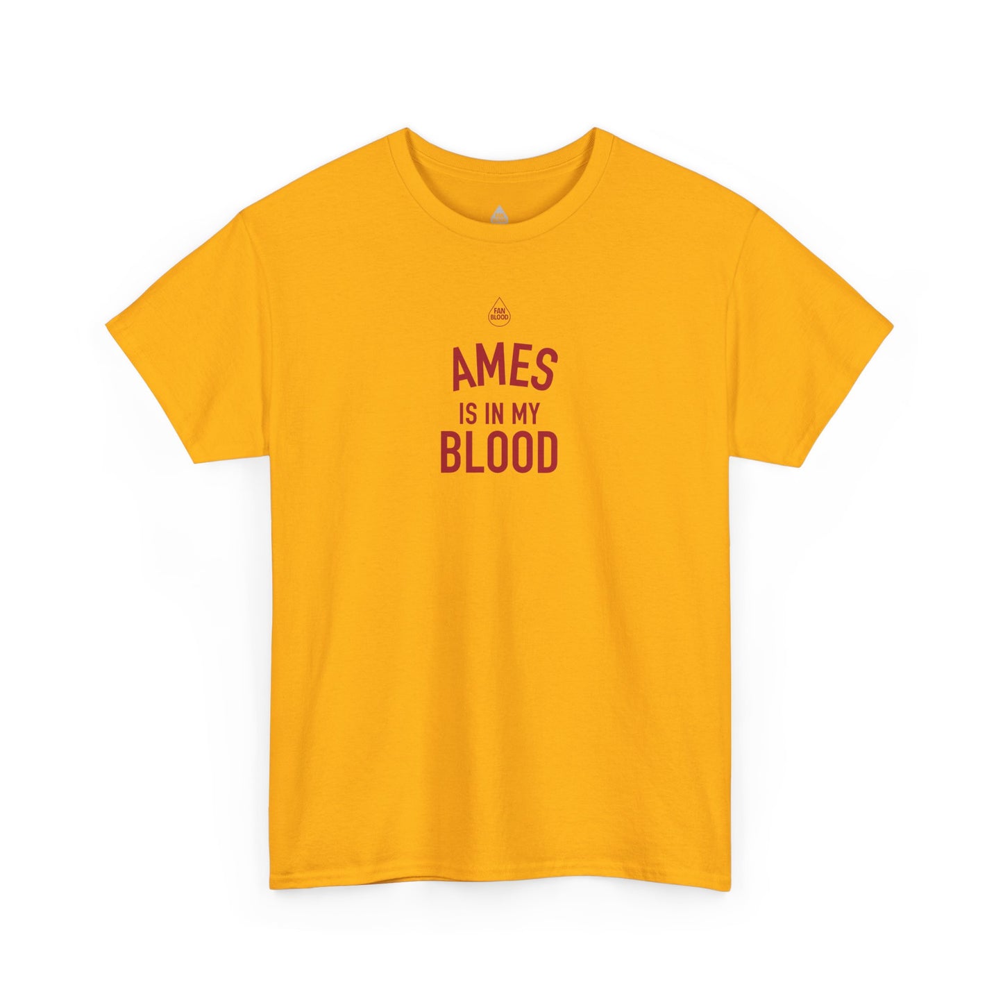 Ames IMB T-Shirt