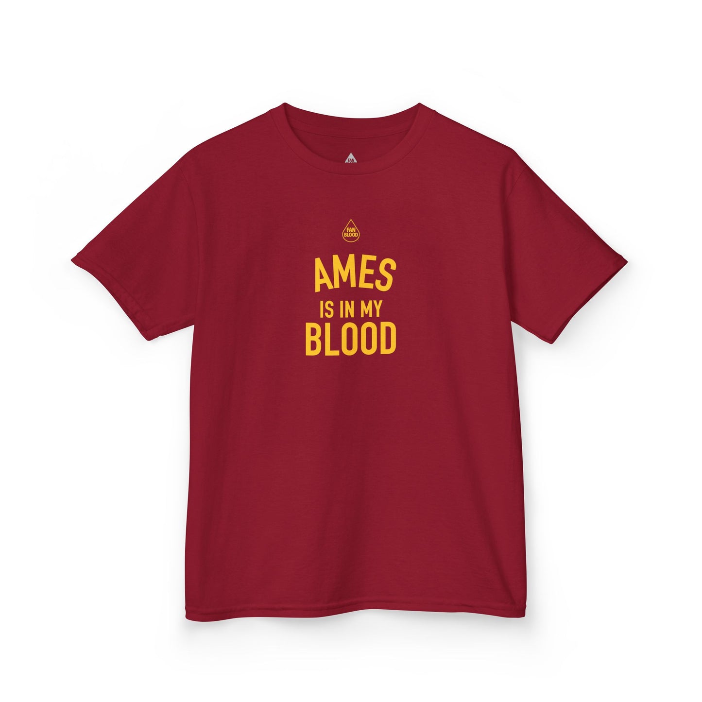 Ames IMB Kid's T