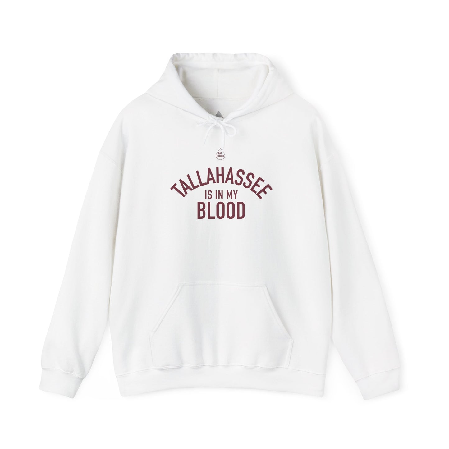 Tallahassee IMB Hoodie